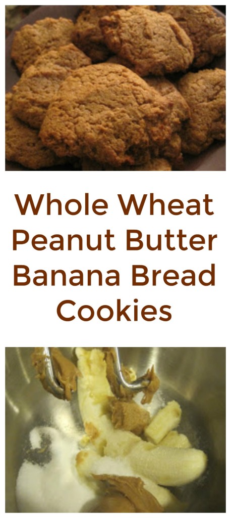Whole Wheat Peanut Butter Banana Bread Cookies - jenny at dapperhouse