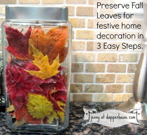 preserve #fallleaves #ModgePodge @dapperhouse #tutorial #DIY