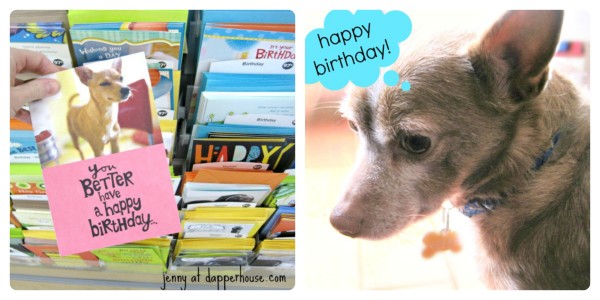 Brithday card looks like my dog Reese! Hallmark Rewards Walmart Value Cards @dapperhouse #ValueCards #shop #cbias