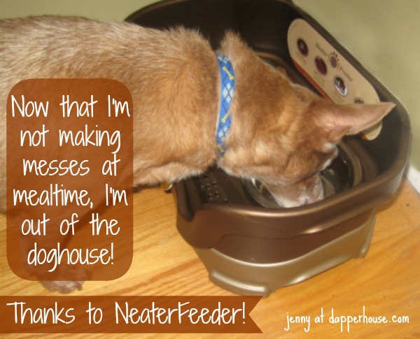 reese the dog doesnt make a mealtime mess anymore thanks to @NeaterFeeder @dapperhouse