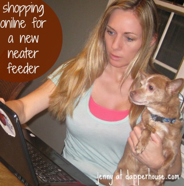 shopping online for a new neater feeder for reese the messy dog @dapperhouse @NeaterFeeder