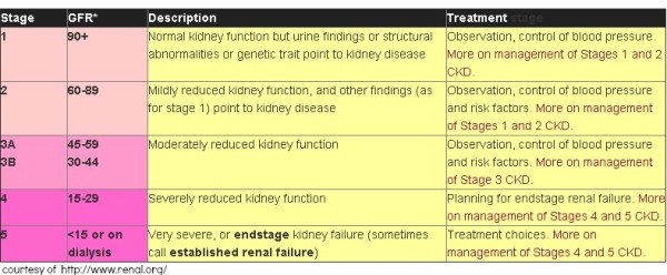 Stages of renal kidney failure