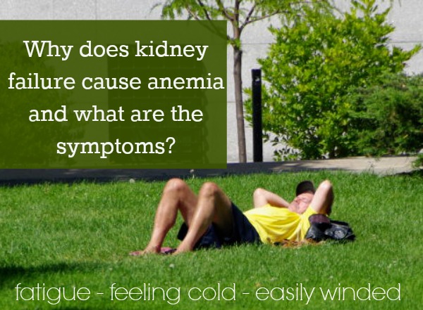 Why does kidney failure cause anemia and what are the symptoms @dapperhouse
