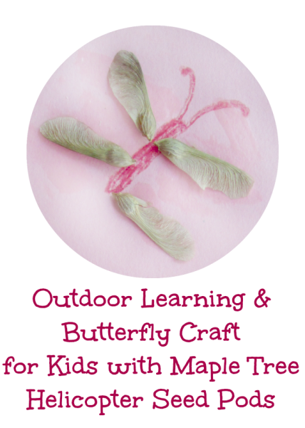 Kids Outdoor Learning & Nature Craft with Maple Helicopter Seed Pods @dapperhouse
