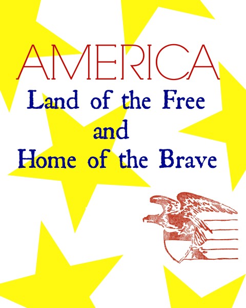 Land of the Free and Home of the rave Free Patriotic Printable @dapperhouse