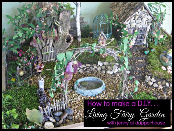 How to make a D.I.Y. Fairy Garden with jenny at dapperhouse