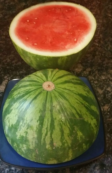 Step 1. to cutting a watermelon the best way ever @dapperhouse