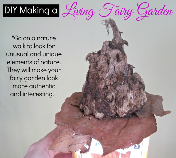 Find unique elements of  nature to make your fairy garden more interesting @dapperhouse DIY