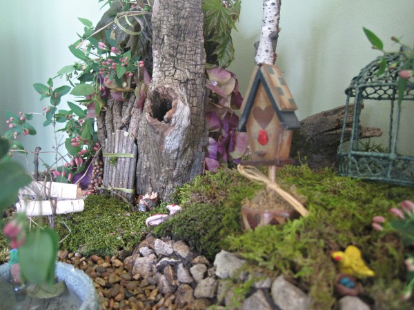 How to make a Living Fairy Garden jenny at dapperhouse