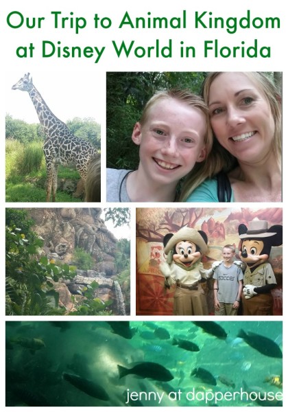 Our Trip to Animal Kingdom at Disney World @dapperhouse