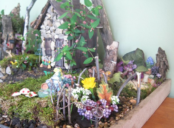 See how to make a living fairy garden for fun with jenny at dapperhouse