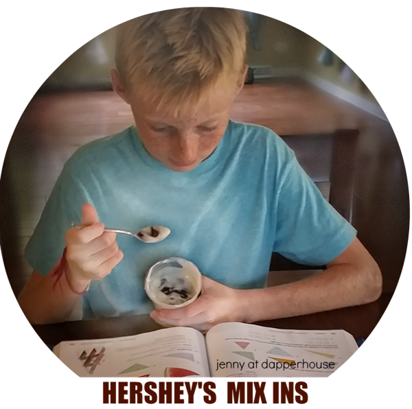 #HERSHEY'S MIX INS Yoplait Yogurt for a Healthy Treat for your child and you @dapperhouse #spon