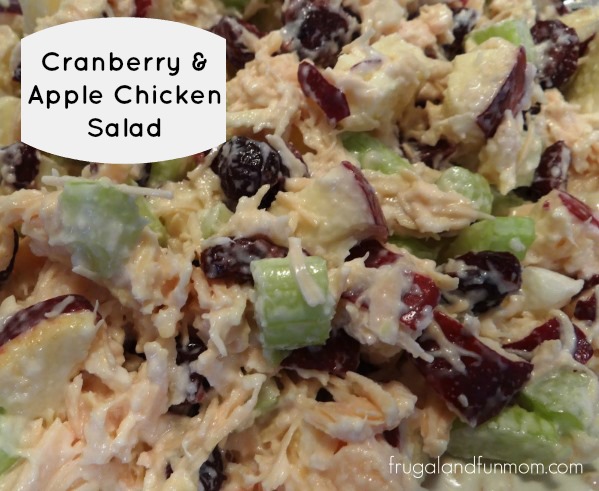 Apple-Cranberry-Chicken-Salad
