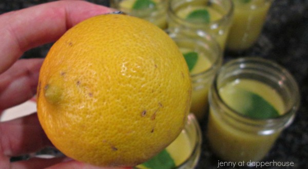 How to make your own Fresh #Lemon #Basil Vinaigrette Dressing #recipe for the perfect gift @dapperhouse