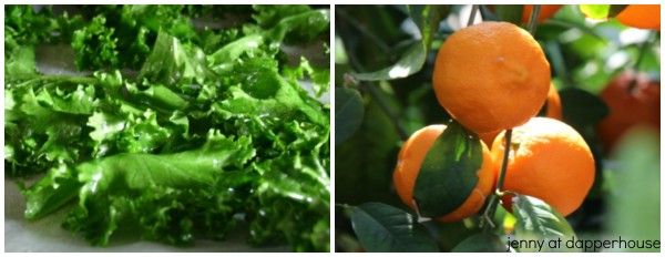 5 Foods that contain even more Vitamin C than kronges and why you should eat them - jenny at dapperhouse
