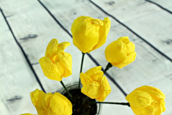 DIY Make your own crepe paper tulips for a Mother's Day Gift - jenny at dapperhouse