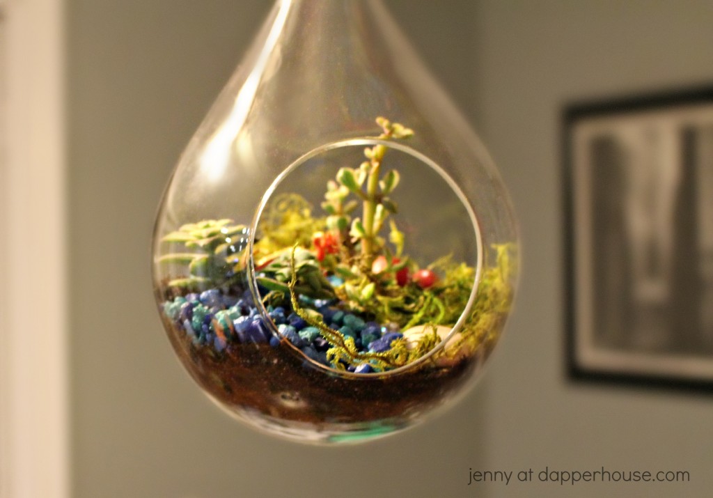 Make a hanging glass terrarium with live plants - jenny at dapperhouse #DIY #garden #indoor