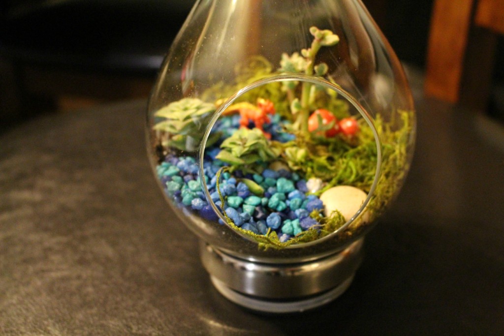 When making your own living DIY hanging terrarium garden add decorative rock and moss - jenny at dapperhouse