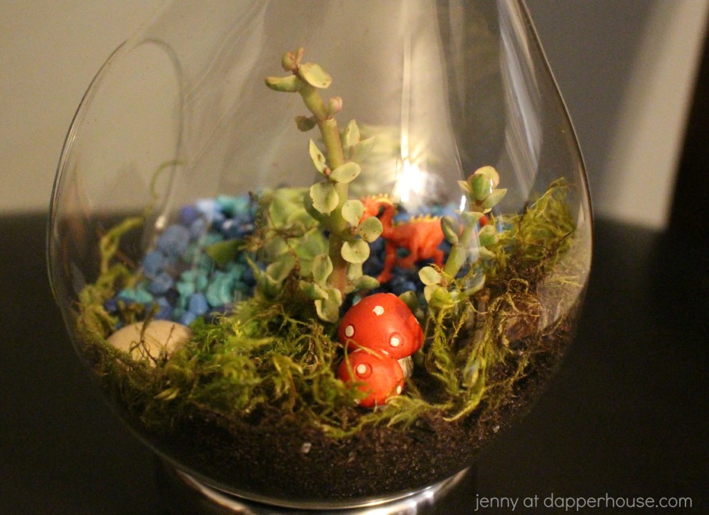 Where to get the supplies to make a hanging glass terrarium from jenny at dapperhouse