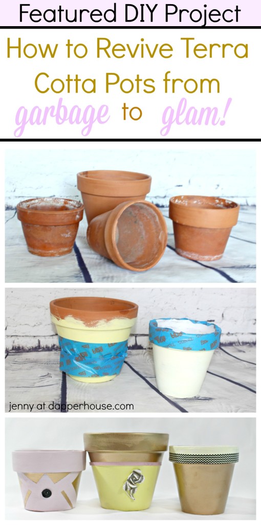 Featured DIY Project - How to Revive Terra Cotta Pots from Garbage to Galm in a few easy steps - jenny at dapperhouse