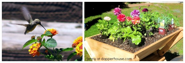 Fun and Unique Gardening Tips fpr smaller spaces from jenny at dapperhouse