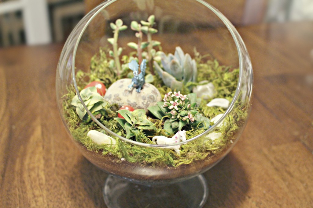 How to make a DIY mythical living indoor glass terrarium