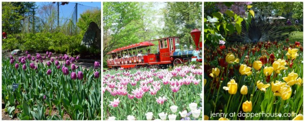 Cincinnati Zoo & Botanical Gardens #SpringInCincy - jenny at dapperhouse