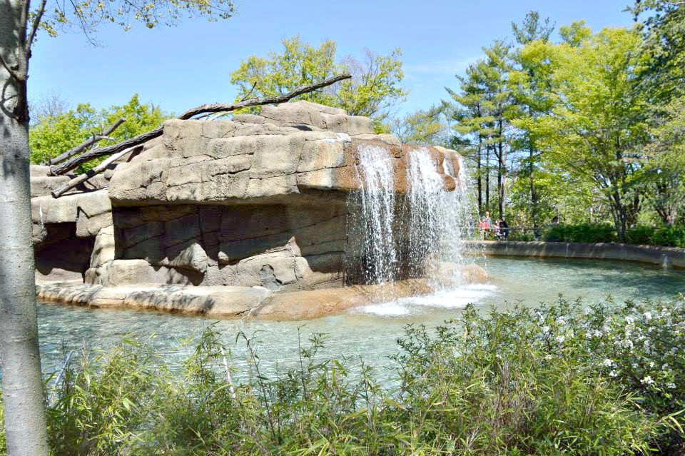 Visit the Cincinnati Zoo & Botanical Gardens #SpringInCincy – Jenny at ...