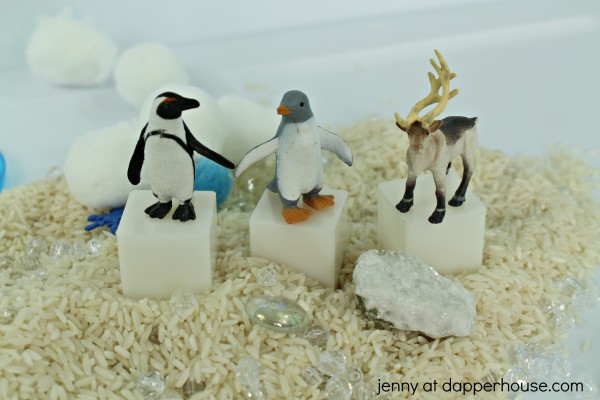 DIY Arctic Sensory Bin for kids to learn through play - jenny at dapperhouse.com