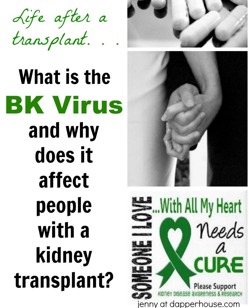LIfe after kidney transplant - what is the BK Virus - jenny at dapperhouse