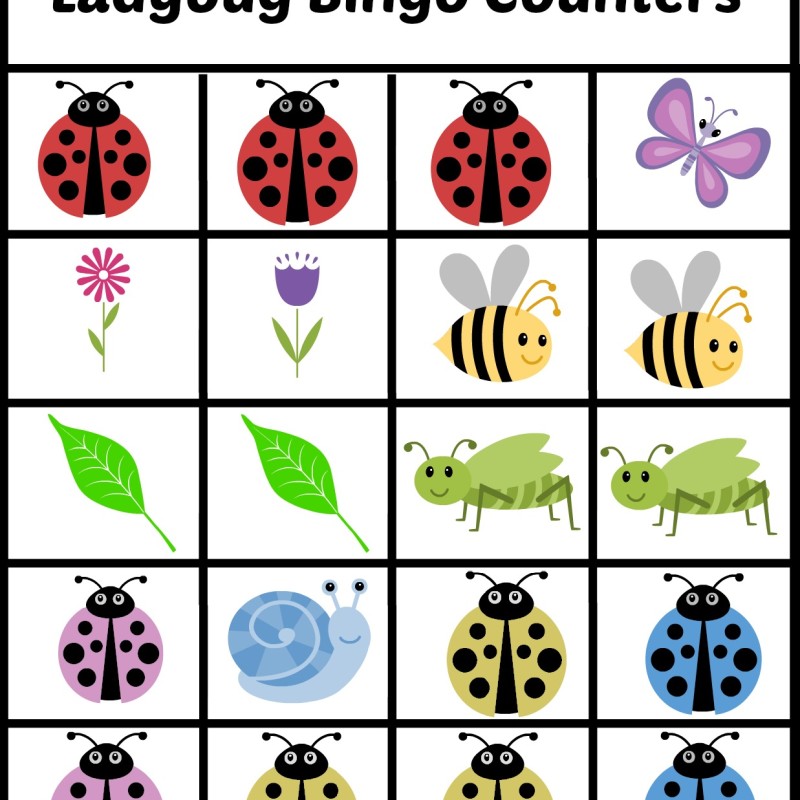 Free Printable Lady Bug Themed BINGO Game Cards