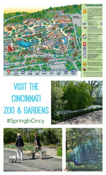 Visit the Cincinnati Zoo and Gardens to celebreate the gorgoues #SprinInCincy - jenny at dapperhouse