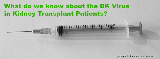 What do we know about the BK Virus in Kidney Transplant Patients - jenny at dapperhouse #kidney #disease #rare #IGA