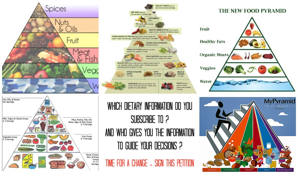 food pyramids and US guidelines - sign a petition for science based knowledge in Americas Health