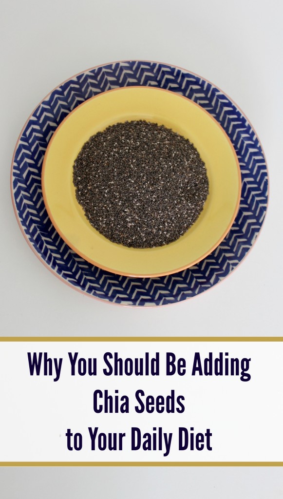 Why You Should Be Adding Chia Seeds to Your Daily Diet - jenny at dapperhouse