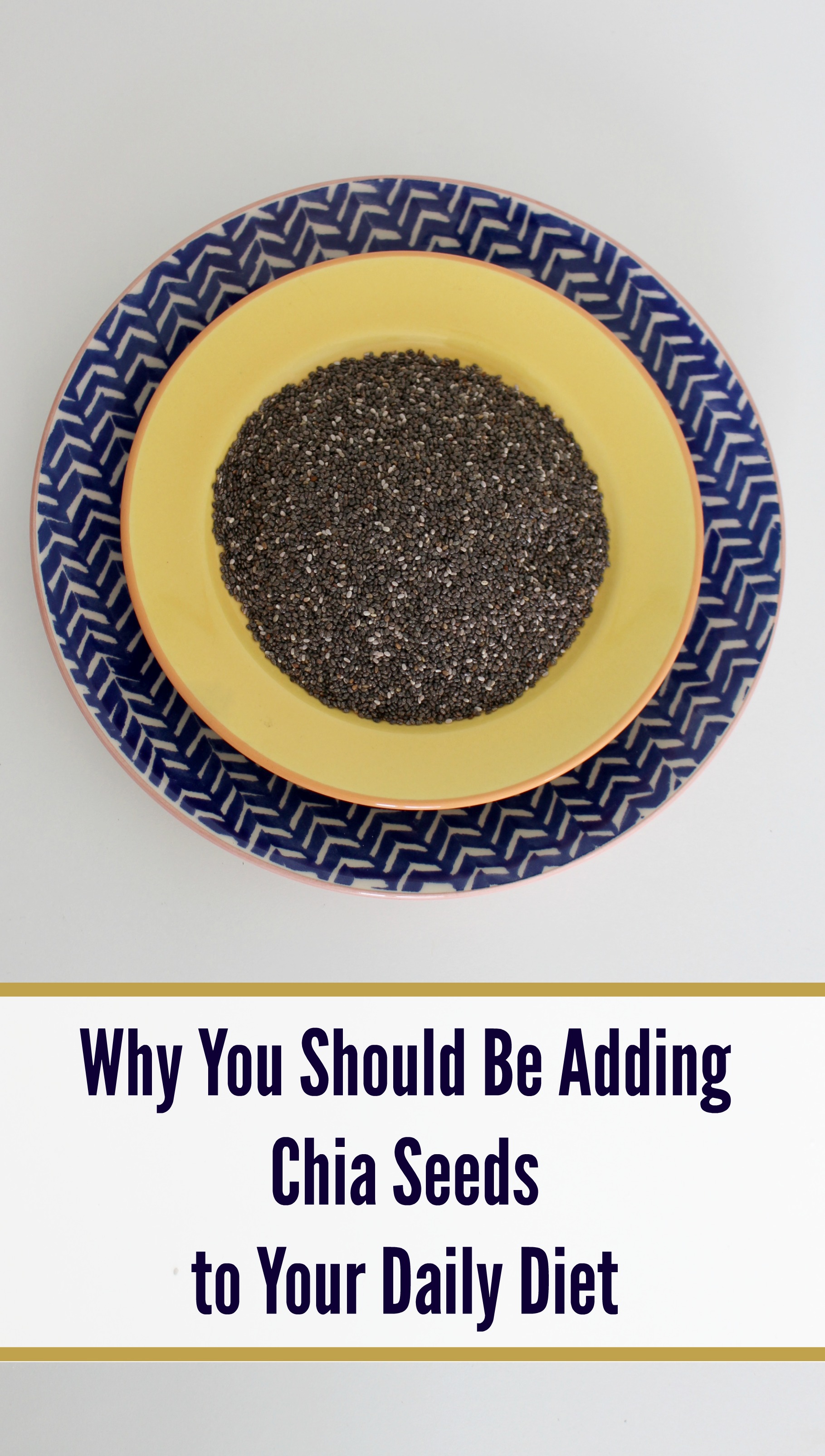 Why You Should Add Chia Seeds to Your Daily Diet Jenny at dapperhouse
