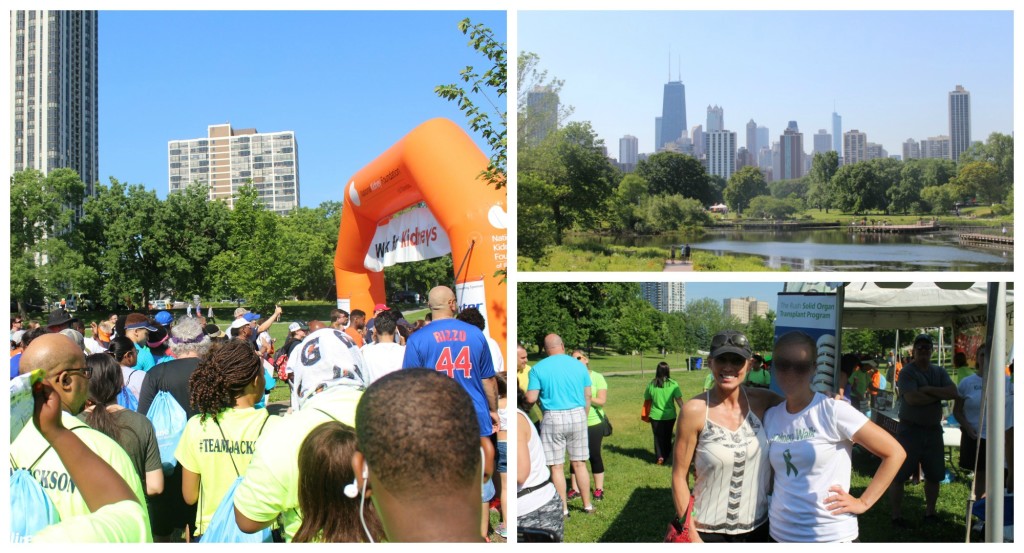 Lincoln Park Chicago The Kidney Walk - jenny at dapperhouse