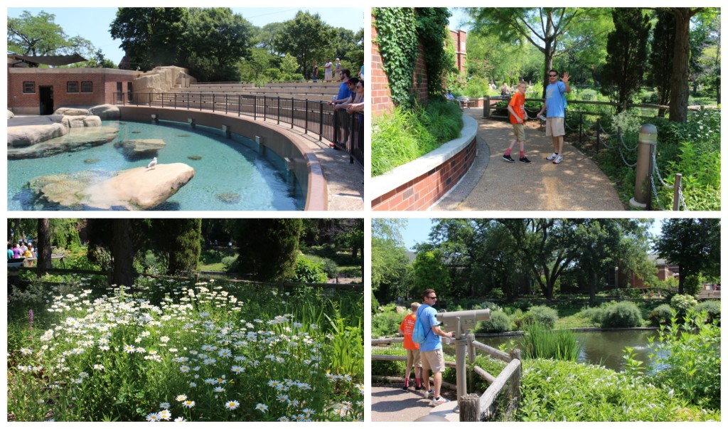 The gardens around the Lincoln Park Zoo are beautiful - jenny at dapperhouse #chicago
