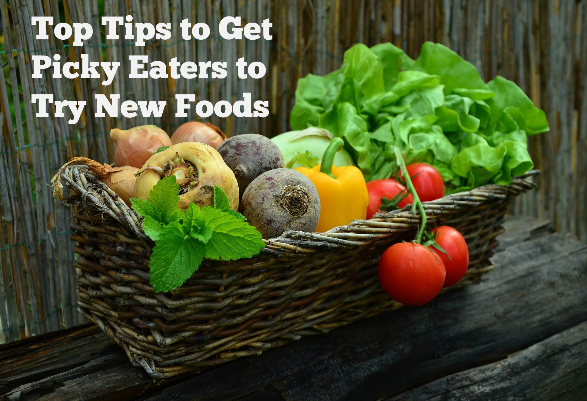 Top Tips to Get Picky Eaters to Try New Foods Jenny at dapperhouse