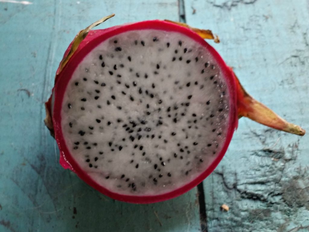 dragon fruit is a healthy and hydrating food - jenny at dappperhouse - health benefits
