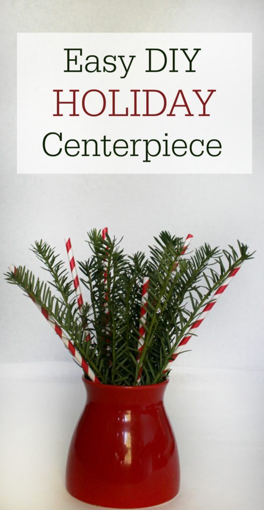 Easy Last Minute DIY Holiday Centerpiece - jenny at dapperhouse blog