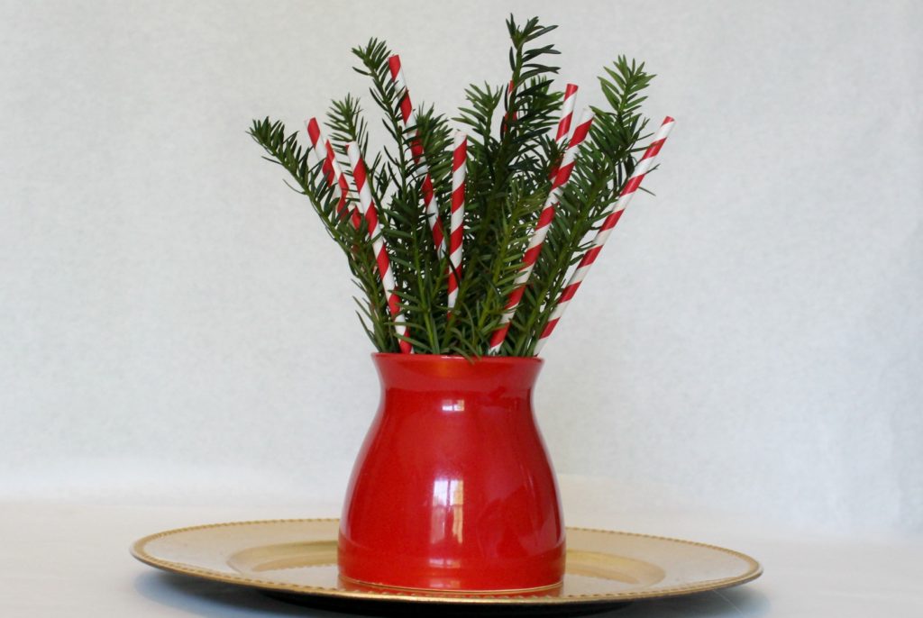 How to make this cute, last minute centerpiece for Christmas - jenny at dapperhouse blog