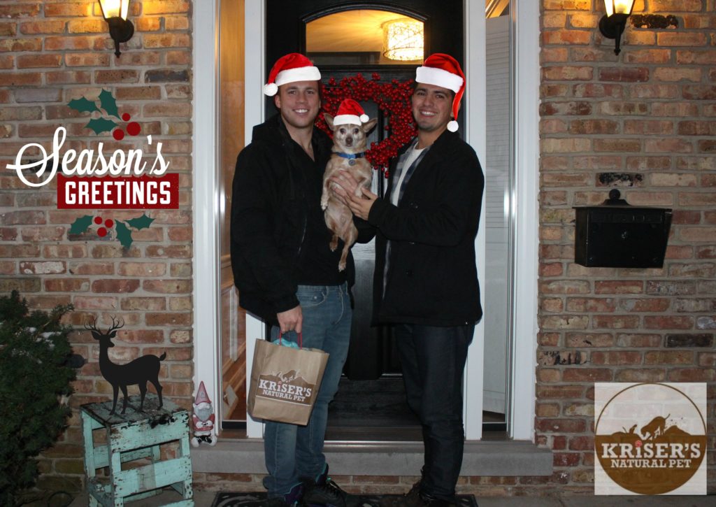 seasons-greetings-from-jenny-at-dapperhouse-blog-reese-the-dog-holidaysatkrisers-kriserspets-ad