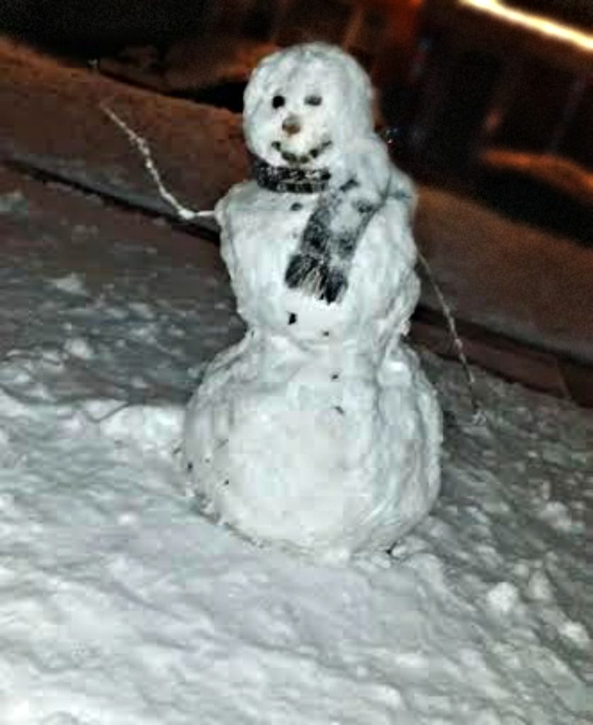 snowman-from-jenny-at-dapperhouse-blog