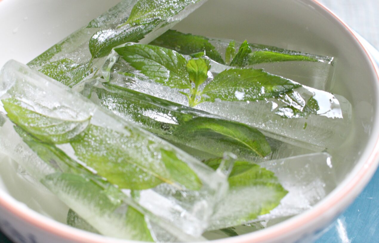 How to Make Fresh Mint Ice Cubes to Infuse Your Water
