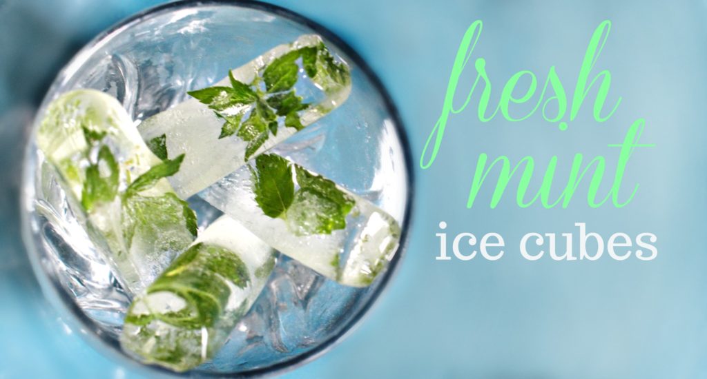 How To: Mint Infused Ice Cubes