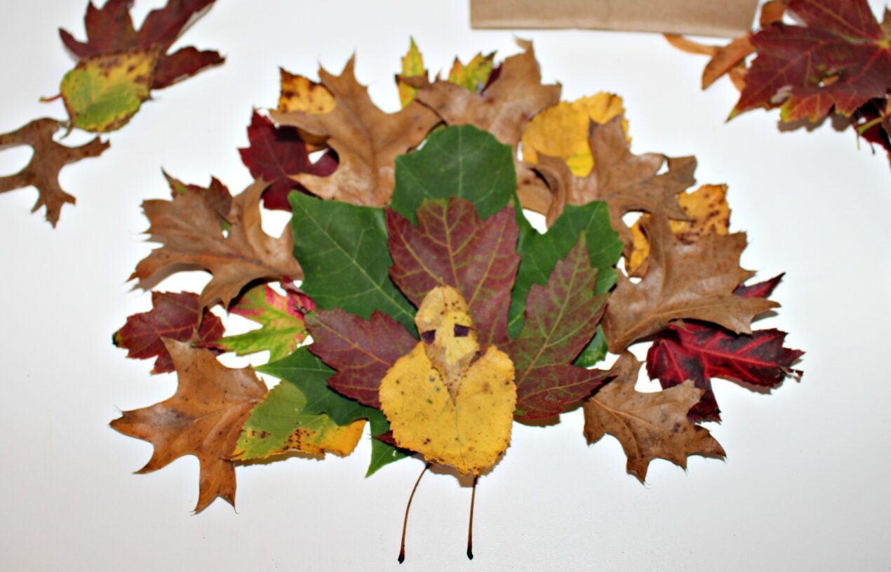 Create A Turkey From Fall Leaves Nature Craft