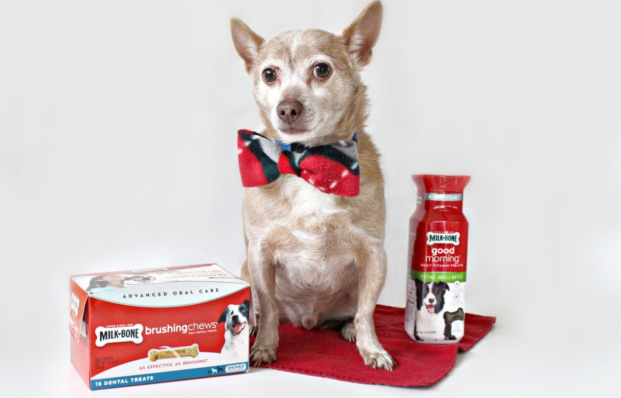 New Year, New Reese! Why We Added Milk-Bone Advanced Care from Target Into Our Pet Care Routine