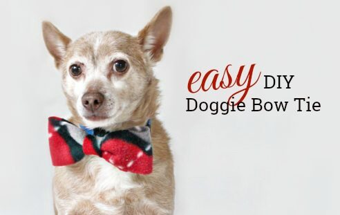 How to Make This Easy DIY Doggie Bow Tie