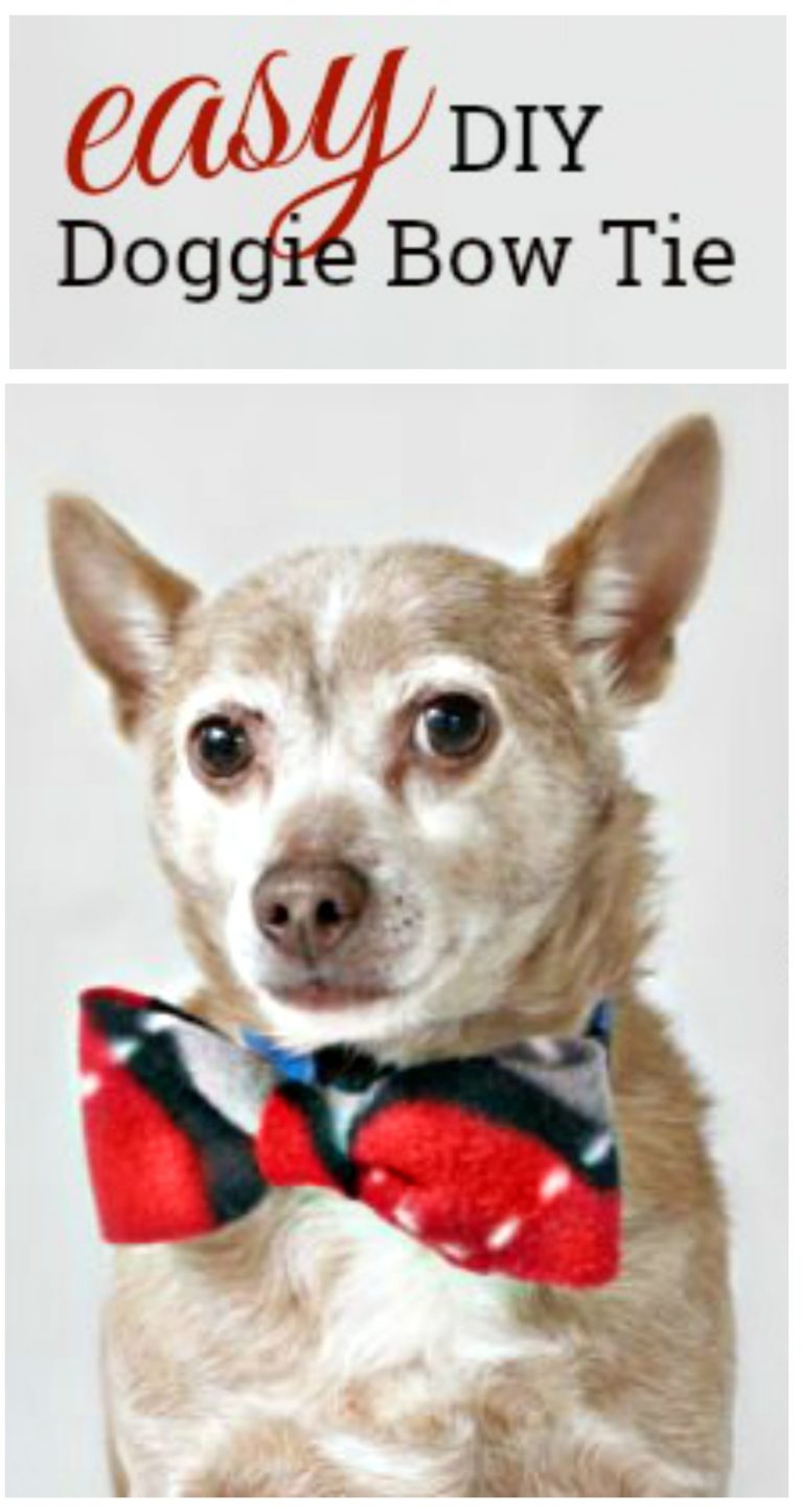 How to Make This Easy DIY Doggie Bow Tie - Jenny at dapperhouse